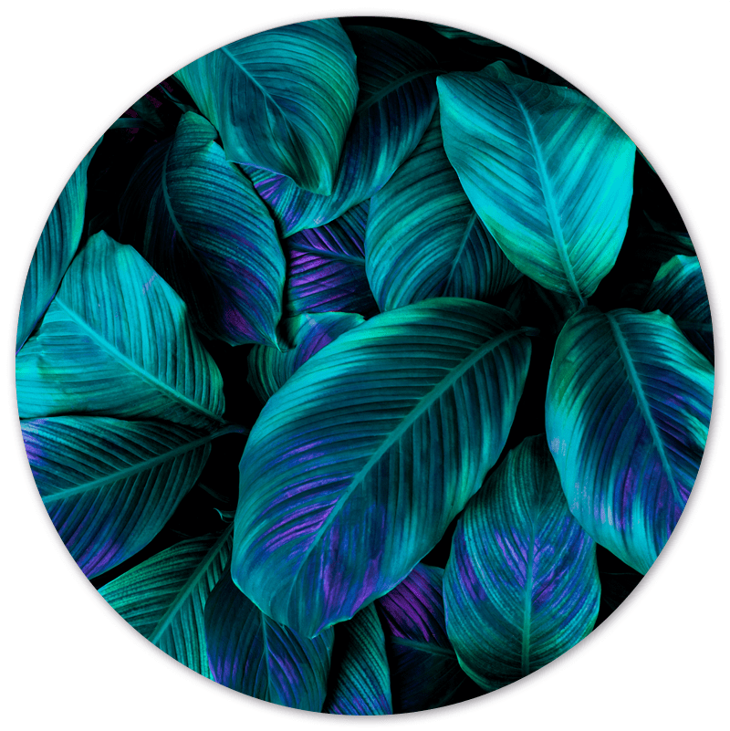 Label2X Muurcirkel Muurcirkel green purple plant