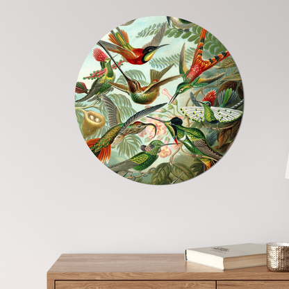 Label2X Muurcirkel Muurcirkel hummingbirds van Ernst Haeckel woonaccessoires homedecoratie