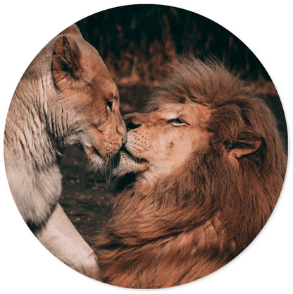 Label2X Muurcirkel Muurcirkel lion couple