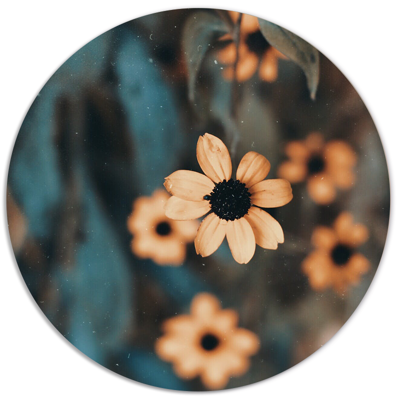 Label2X Muurcirkel Muurcirkel vintage flower woonaccessoires homedecoratie