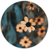 Label2X Muurcirkel Muurcirkel vintage flower woonaccessoires homedecoratie