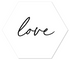 Label2X Muurhexagon Muurhexagon love wit