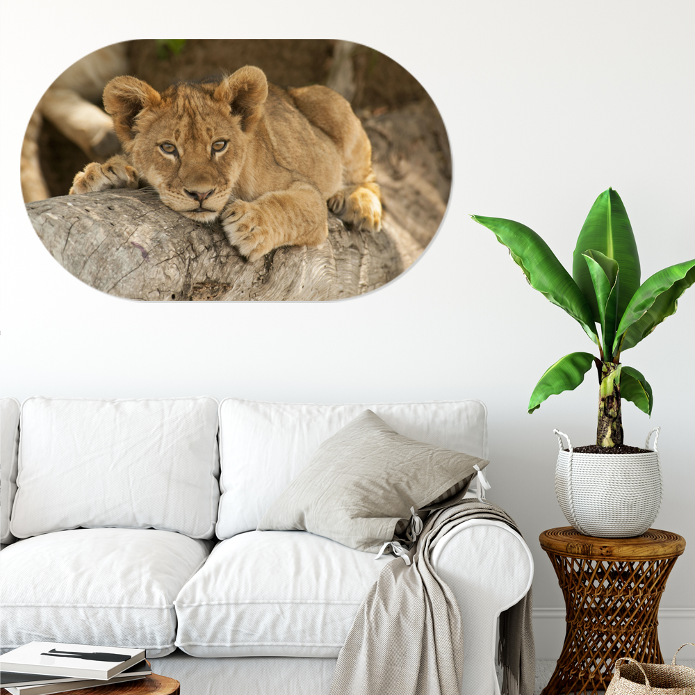 Label2X Muurovaal Muurovaal baby lion woonaccessoires homedecoratie