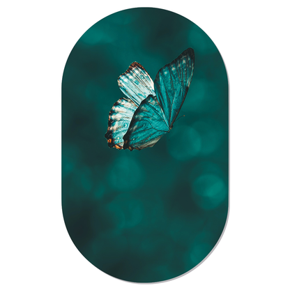 Label2X Muurovaal Muurovaal butterfly woonaccessoires homedecoratie