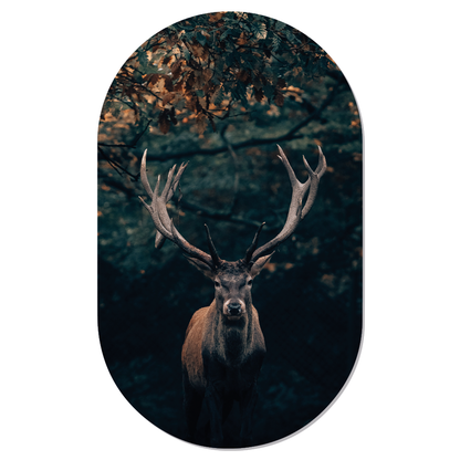 Label2X Muurovaal Muurovaal dark deer woonaccessoires homedecoratie