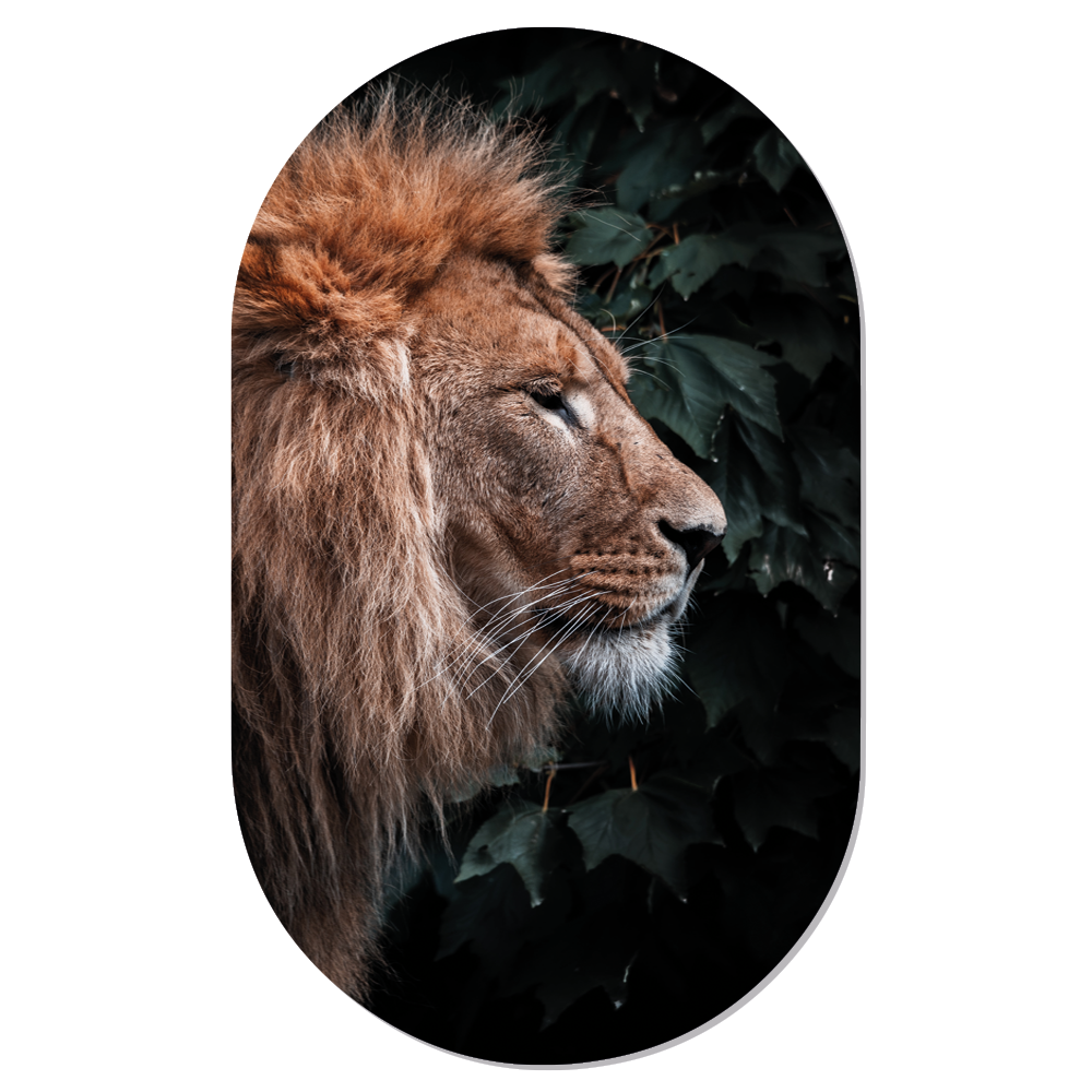 Label2X Muurovaal Muurovaal lion head woonaccessoires homedecoratie