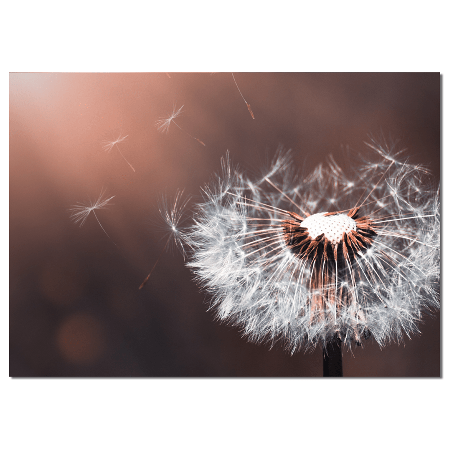 Label2X Muurrechthoek Muurrechthoek paardenbloem