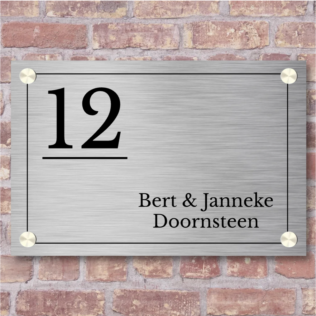 Label2X Naambordje rechthoek Naambordje voordeur rvs-look rechthoek frame woonaccessoires homedecoratie