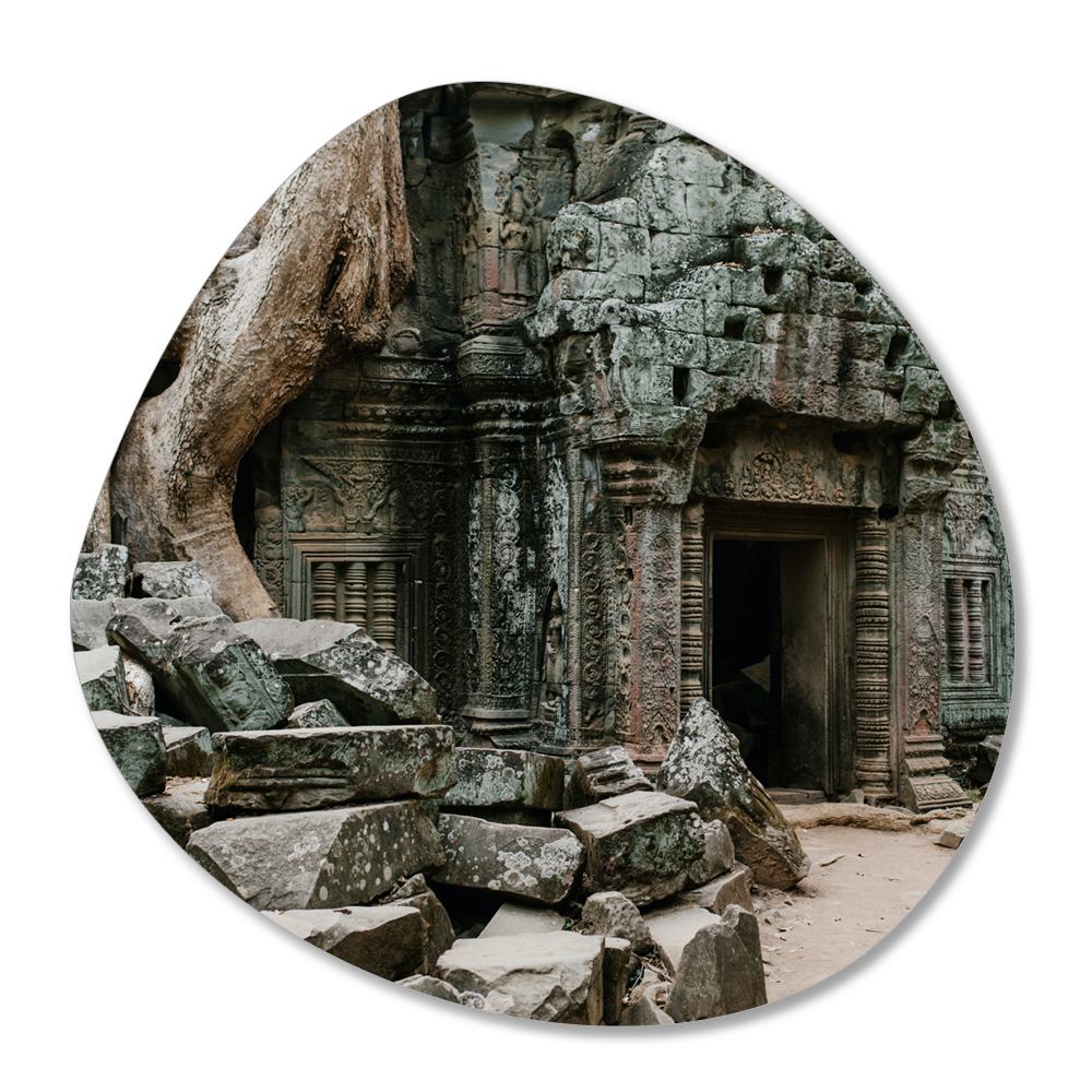 Label2X Muurvorm organisch Organische vorm tree door woonaccessoires homedecoratie