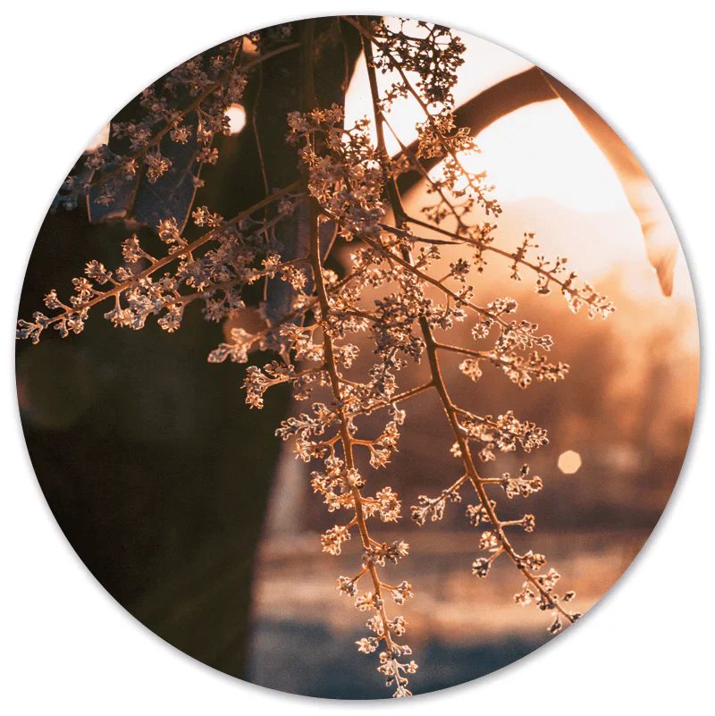 Label2X Woods Forex 60 cm woonaccessoires homedecoratie