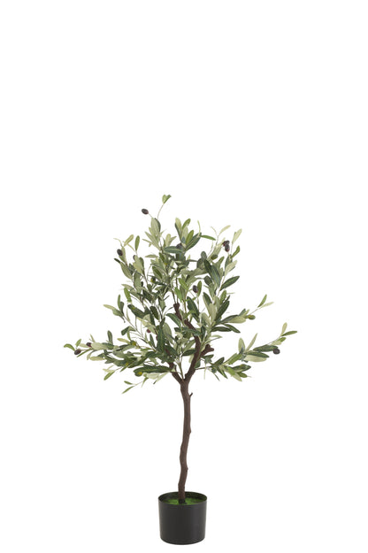 Olijfboom in pot plastic groen middelgroot