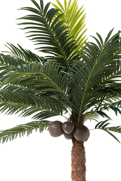 Palmboom 4 Kokosnoten In Pot Plastic Groen