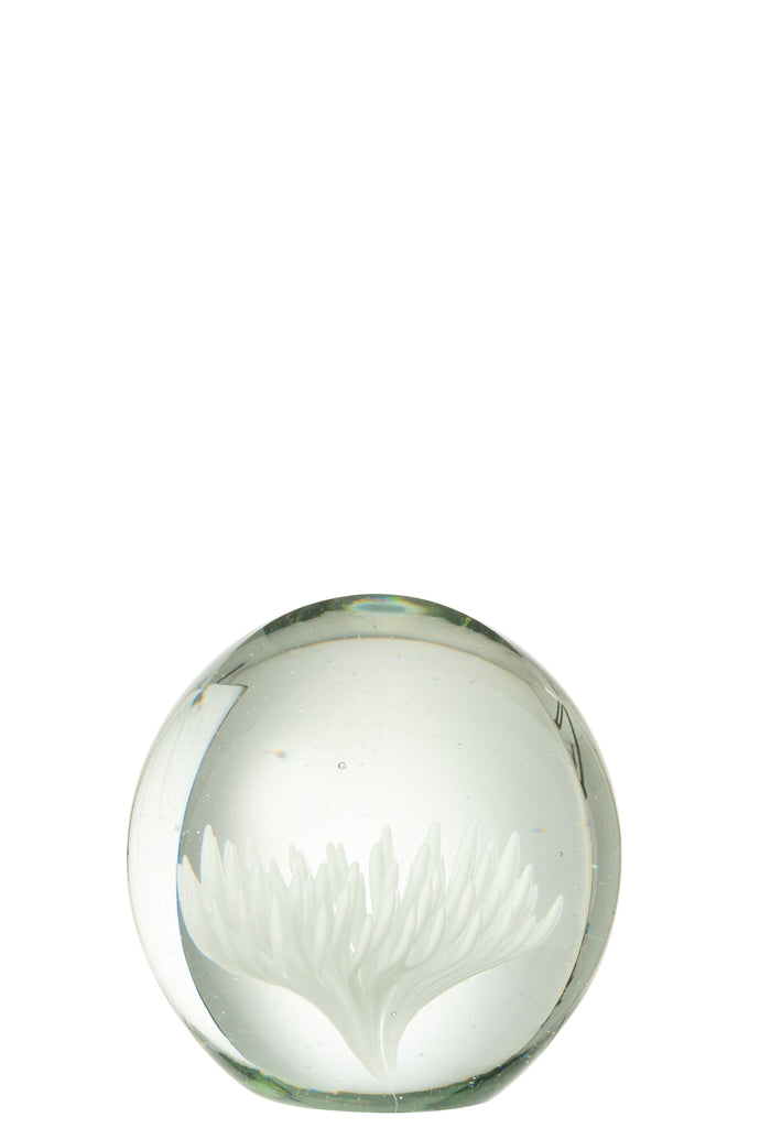 Paperweight Aster Round Glass Transparent/White