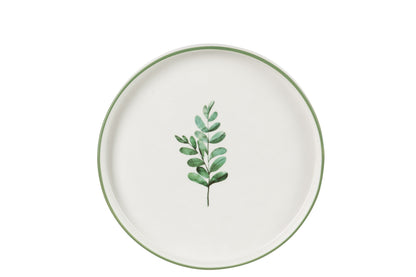 Plaat Laag Eucalyptus Porselein Wit/Groen Klein