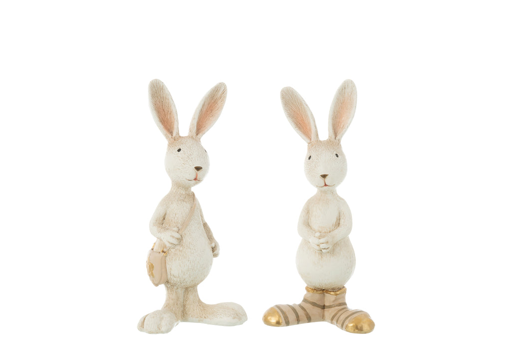 Rabbit Dressed Resin Mix, Set Of 2