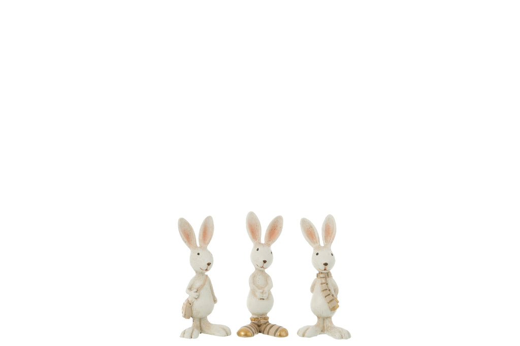 Rabbit Dressed Resin Mix, Set Of 3