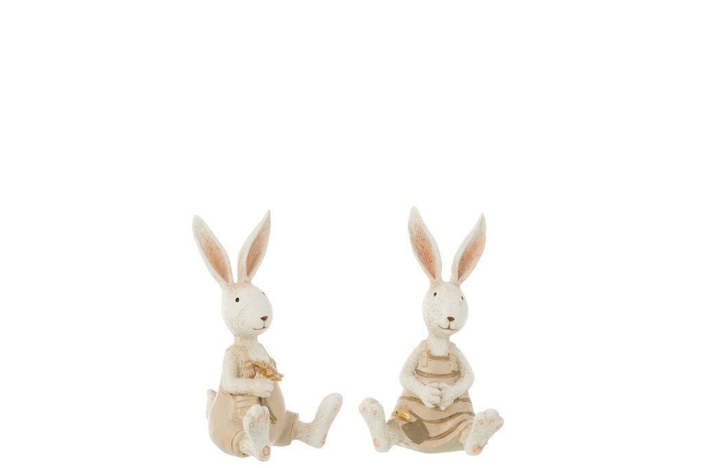 Rabbit Sitting Flowers Resin Mix, Set Of 2