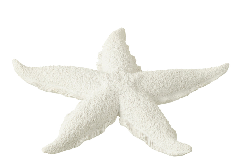 Starfish Polyresin White L