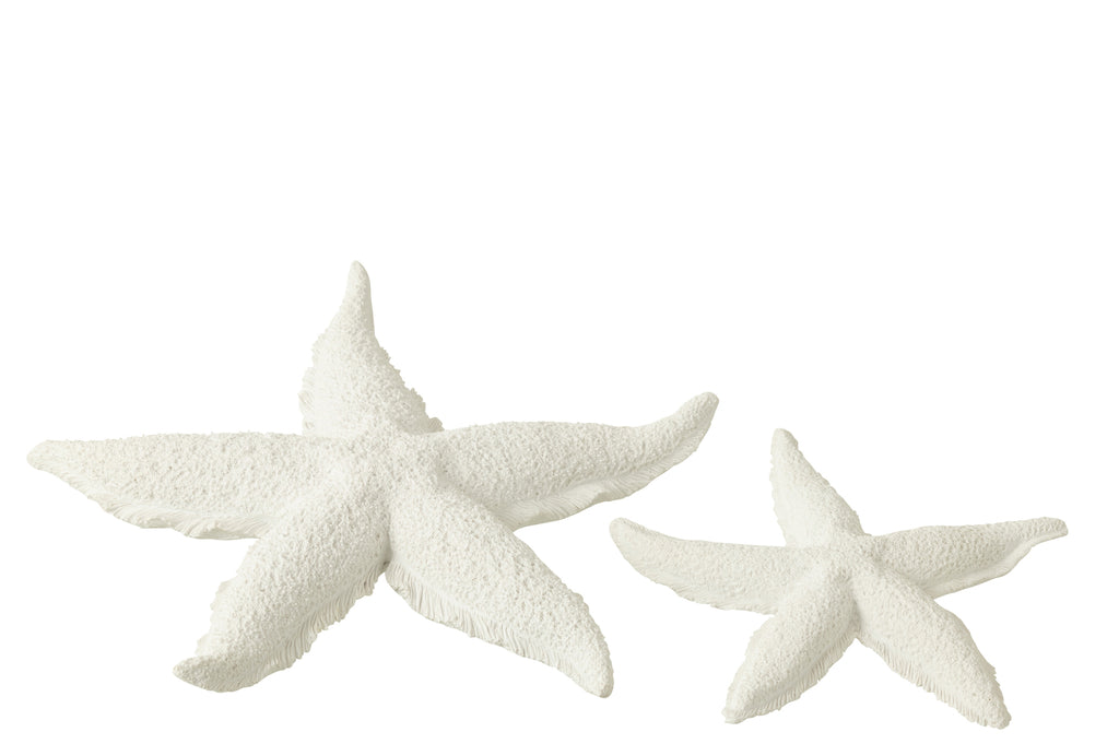 Starfish Polyresin White L