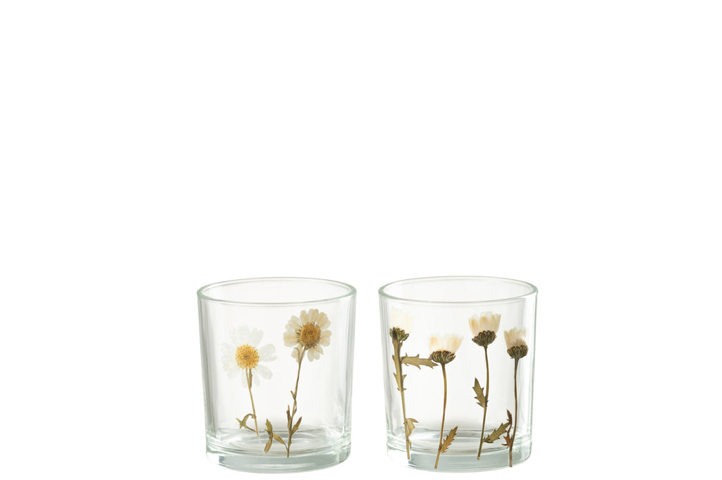 Theelicht Bloem Madeliefje Glas Mix Assortiment Van 2