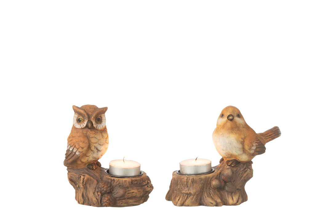 Theelichthouder Bord+Uil Porselein Bruin Assortiment Van 2