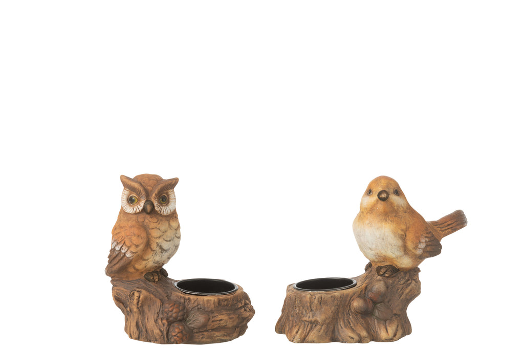 Theelichthouder Bord+Uil Porselein Bruin Assortiment Van 2