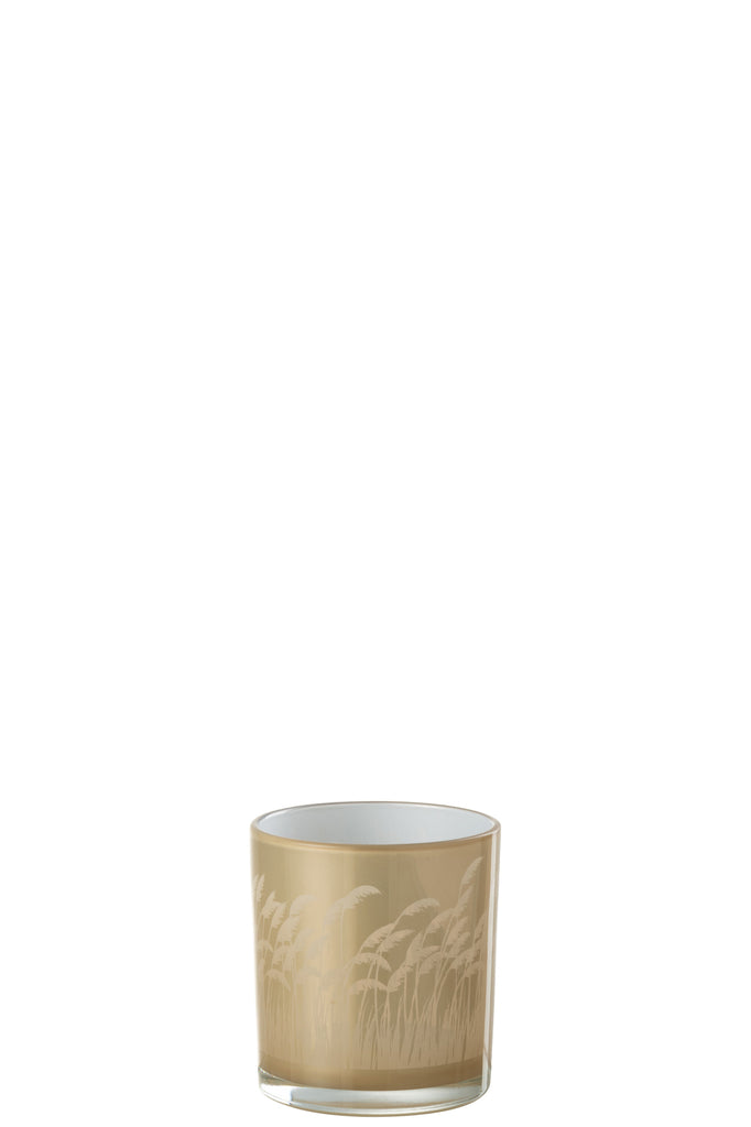 Theelicht Pampas Glas Beige/Wit