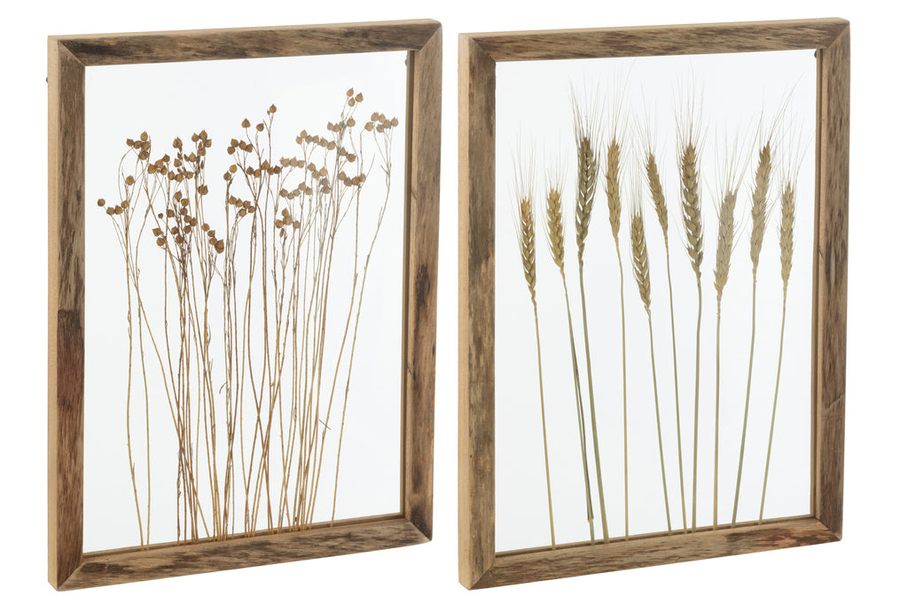 Wall Decoration Cereal Pinewood/Glass Transparent/Brown, set of 2