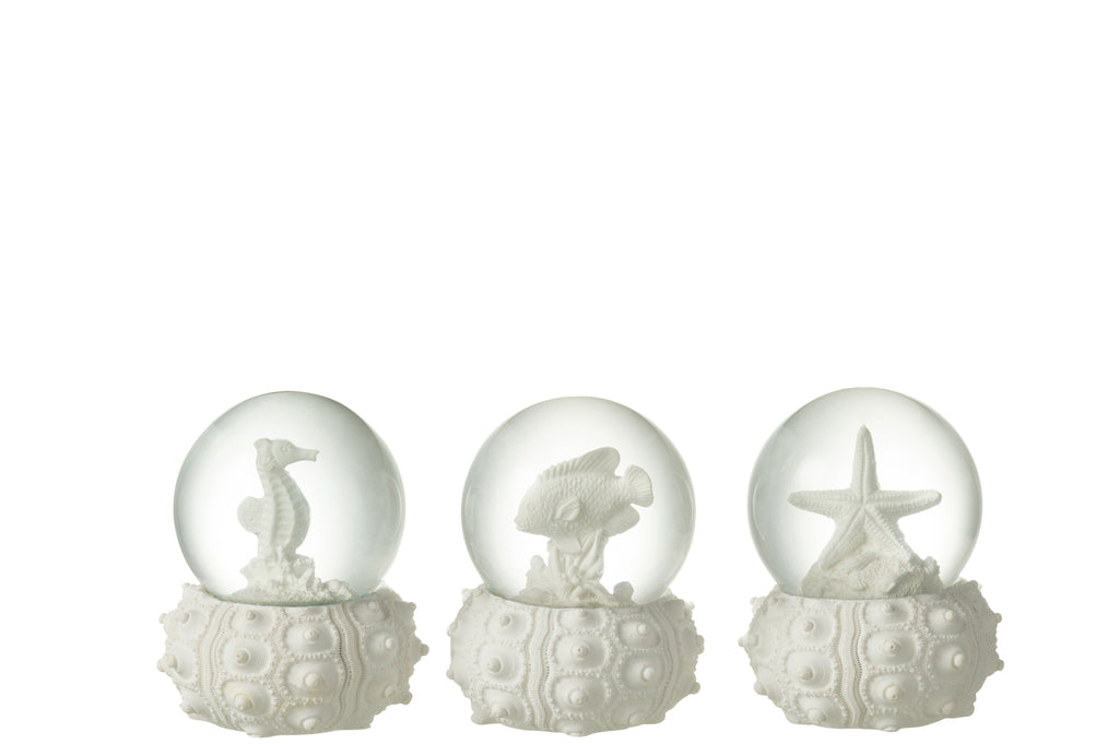 Waterglobe Sea Polyresin White Small, set of 3