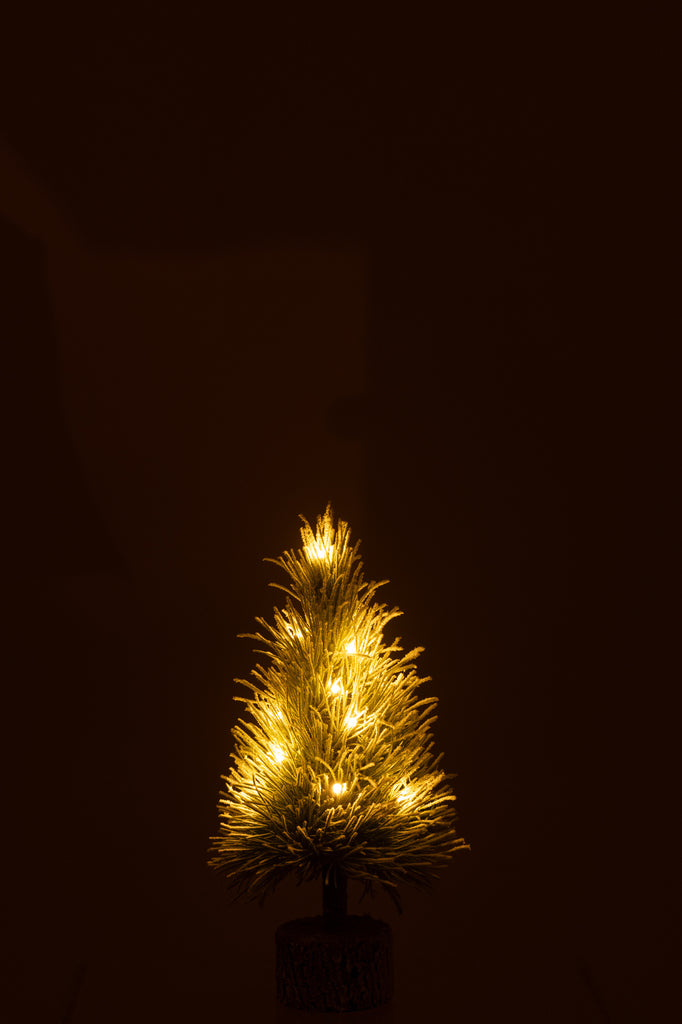 Kerstboom B+Led Plastic Sneeuw Groen Klein